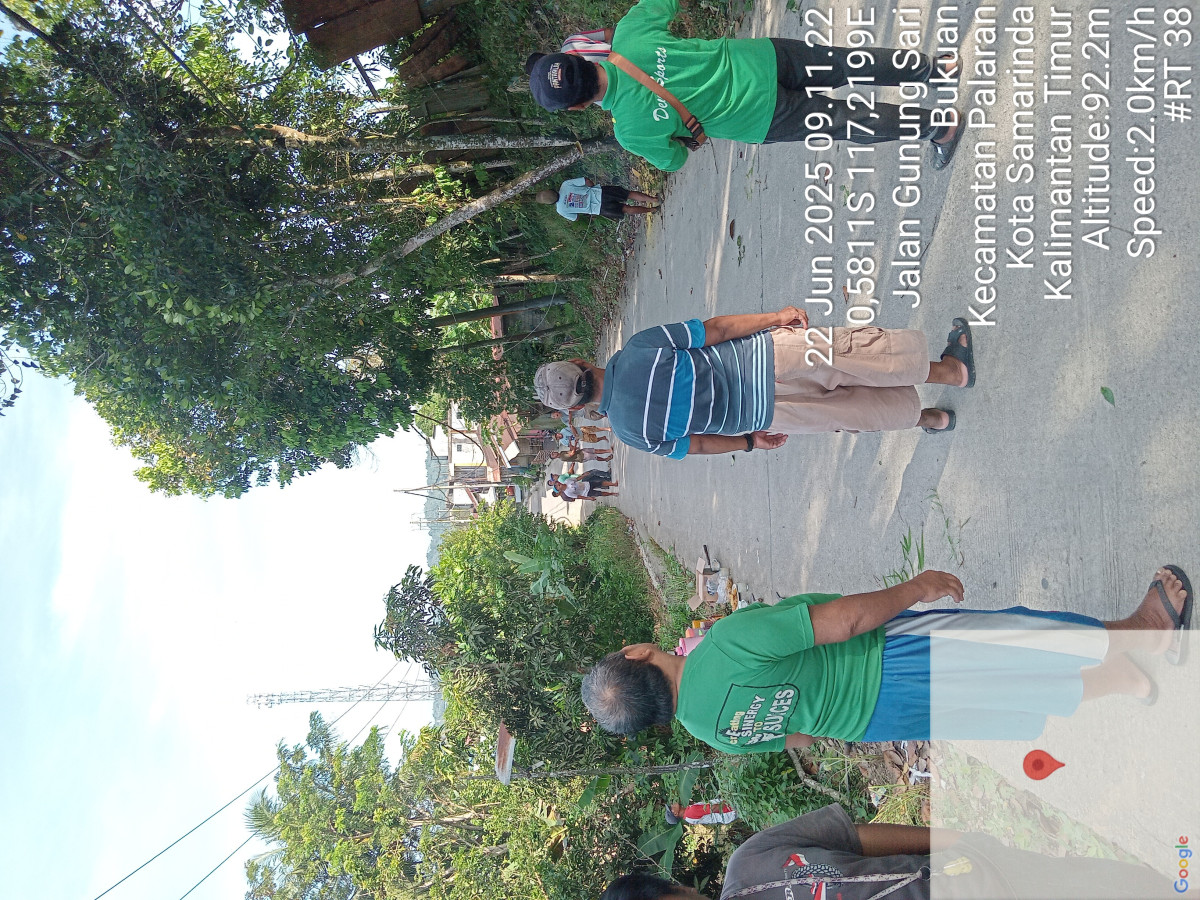 Tebang pohon pinggir jalan