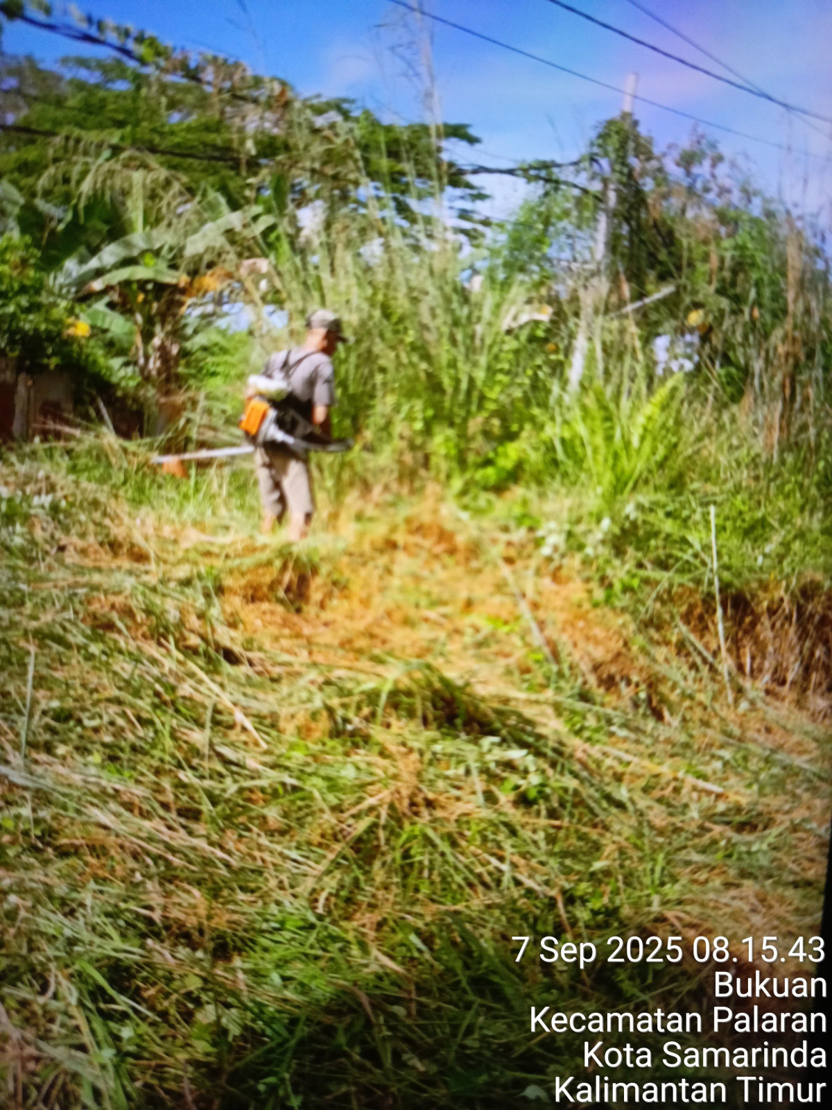 Pembersihan rumput di tepi jalan