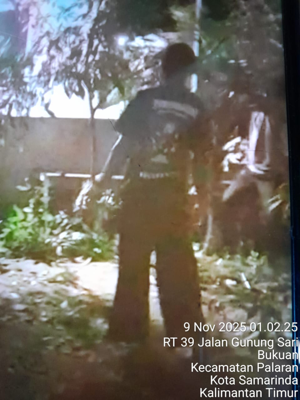 Gotong royong pemotongan pohon.