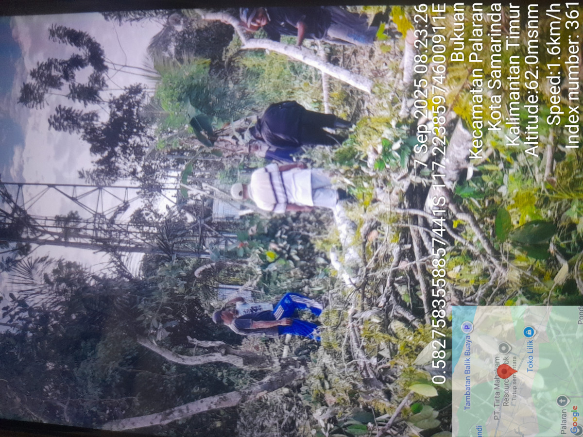 Gotong royong penebangan pohon di lokasi tanah yayasan
