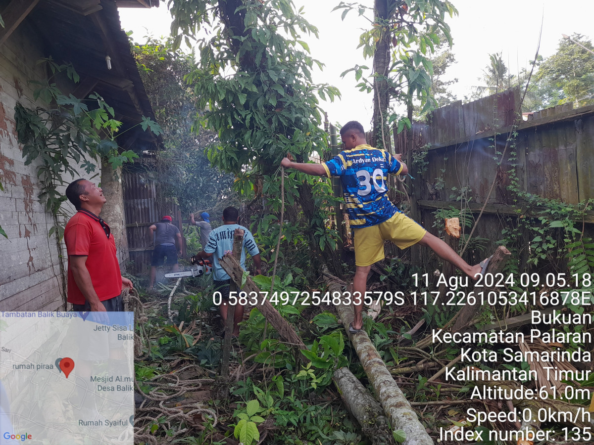 Gotong royong penebangan pohon di pinggir jalan