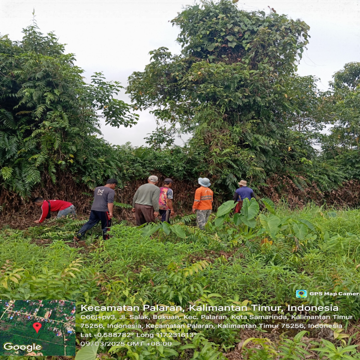 Part 3 membersihkan parit yang kurang terawat penyebab banjir kebun warga