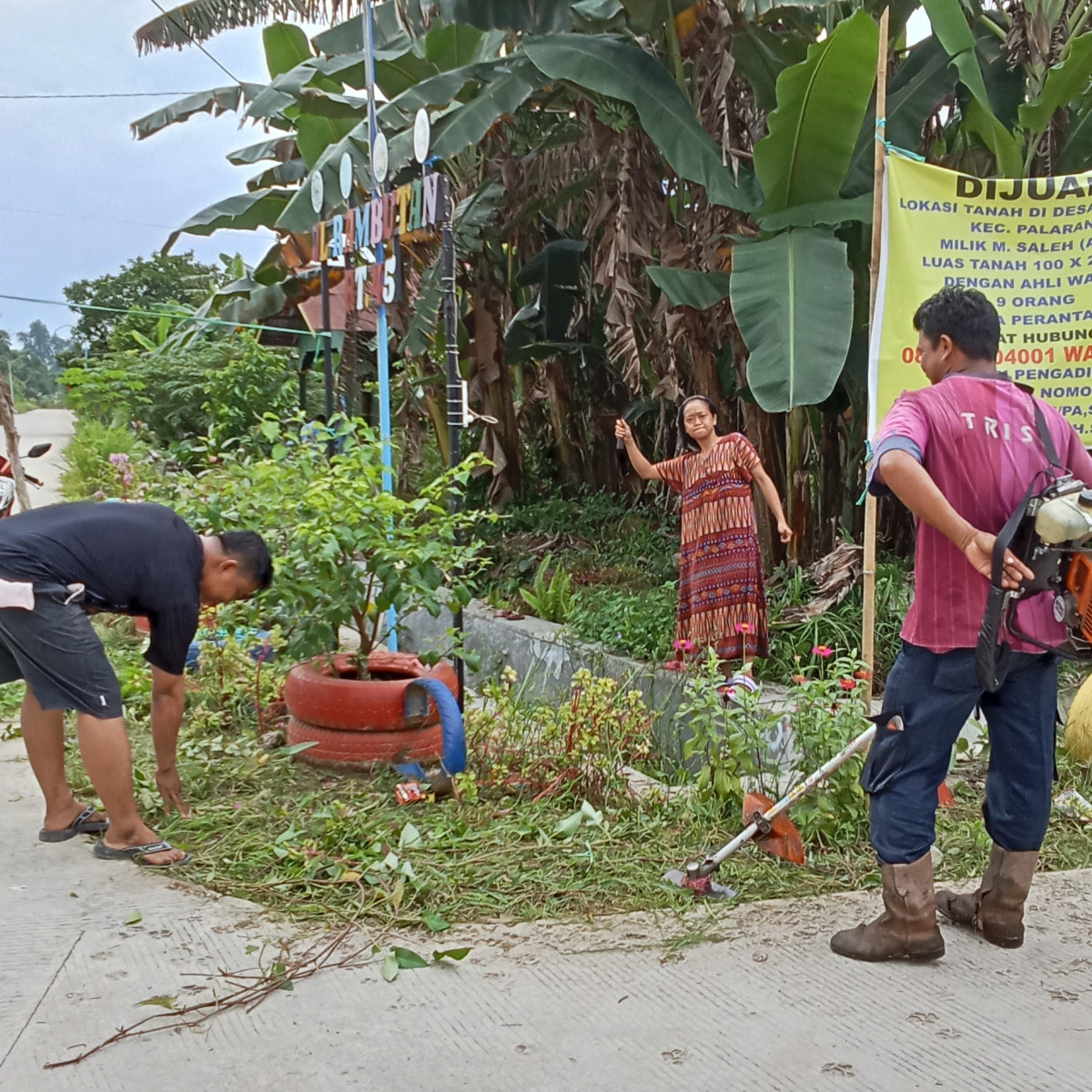 Membersihkan rumput di pinggir jalan