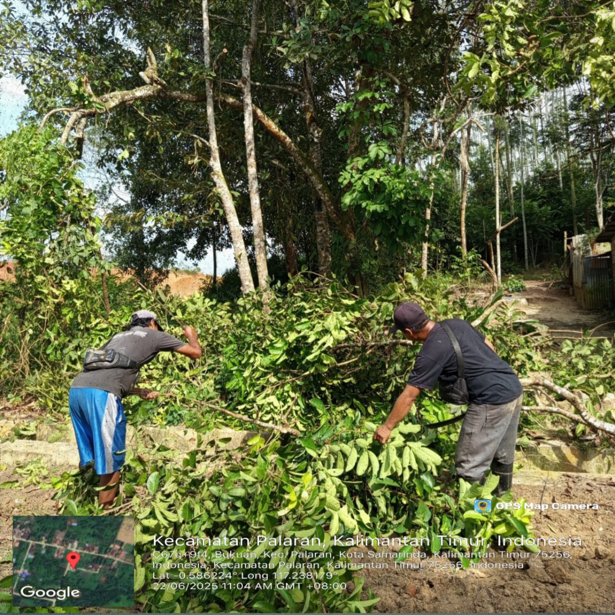 Pembersihan pohon di pinggir jalan