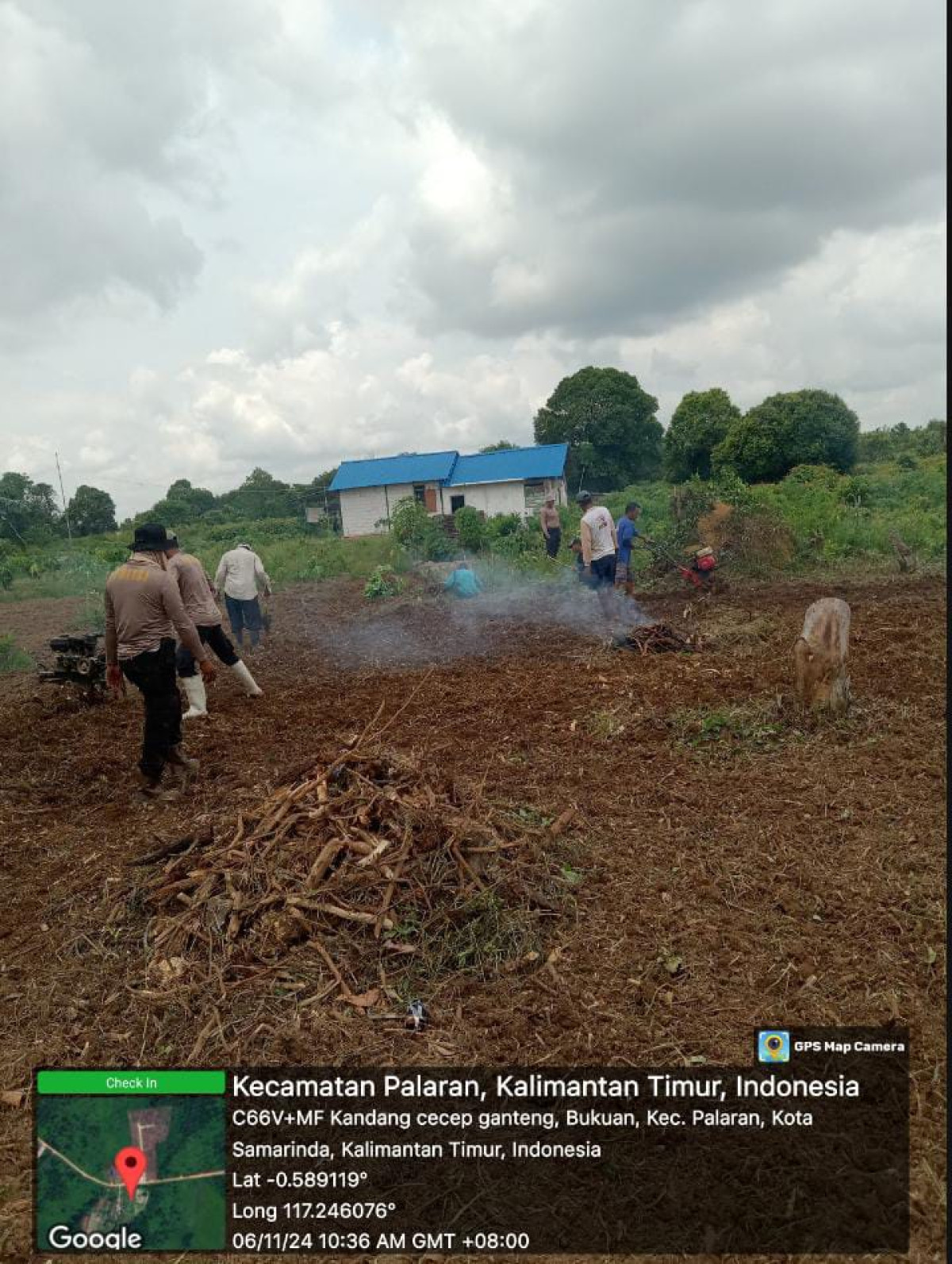 Persiapan buat nanam jagung