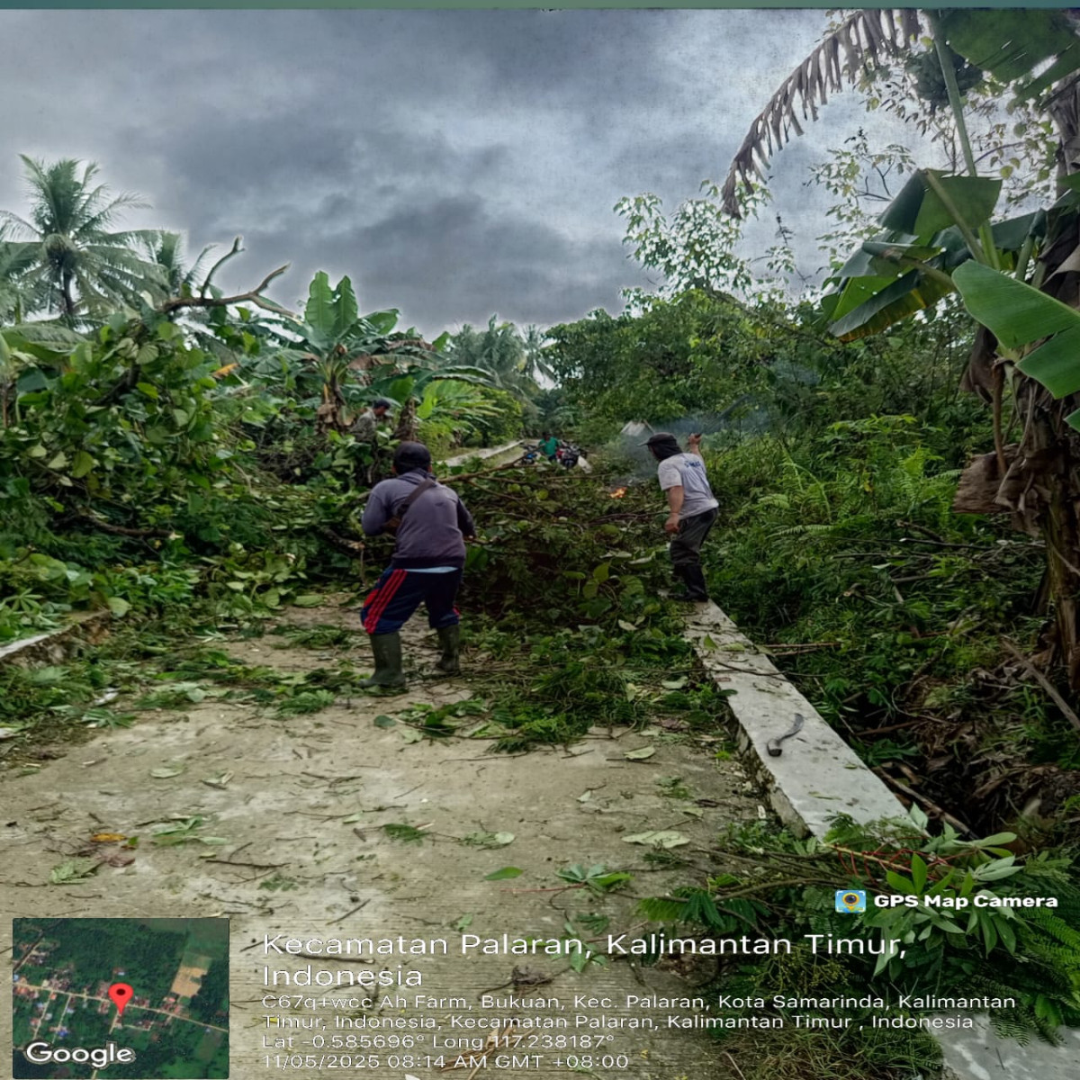 Motong pohon besar di pinggir jalan
