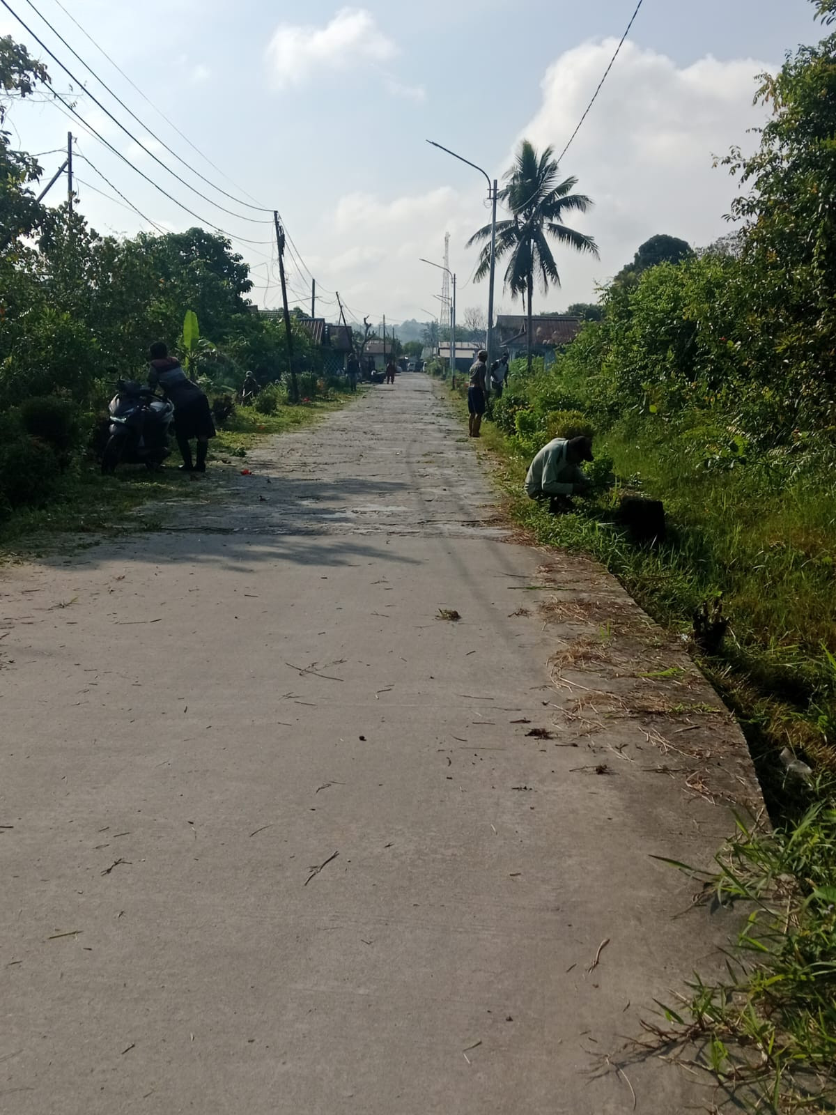 Potong rumput paret dan potong rumput pinggir jalan