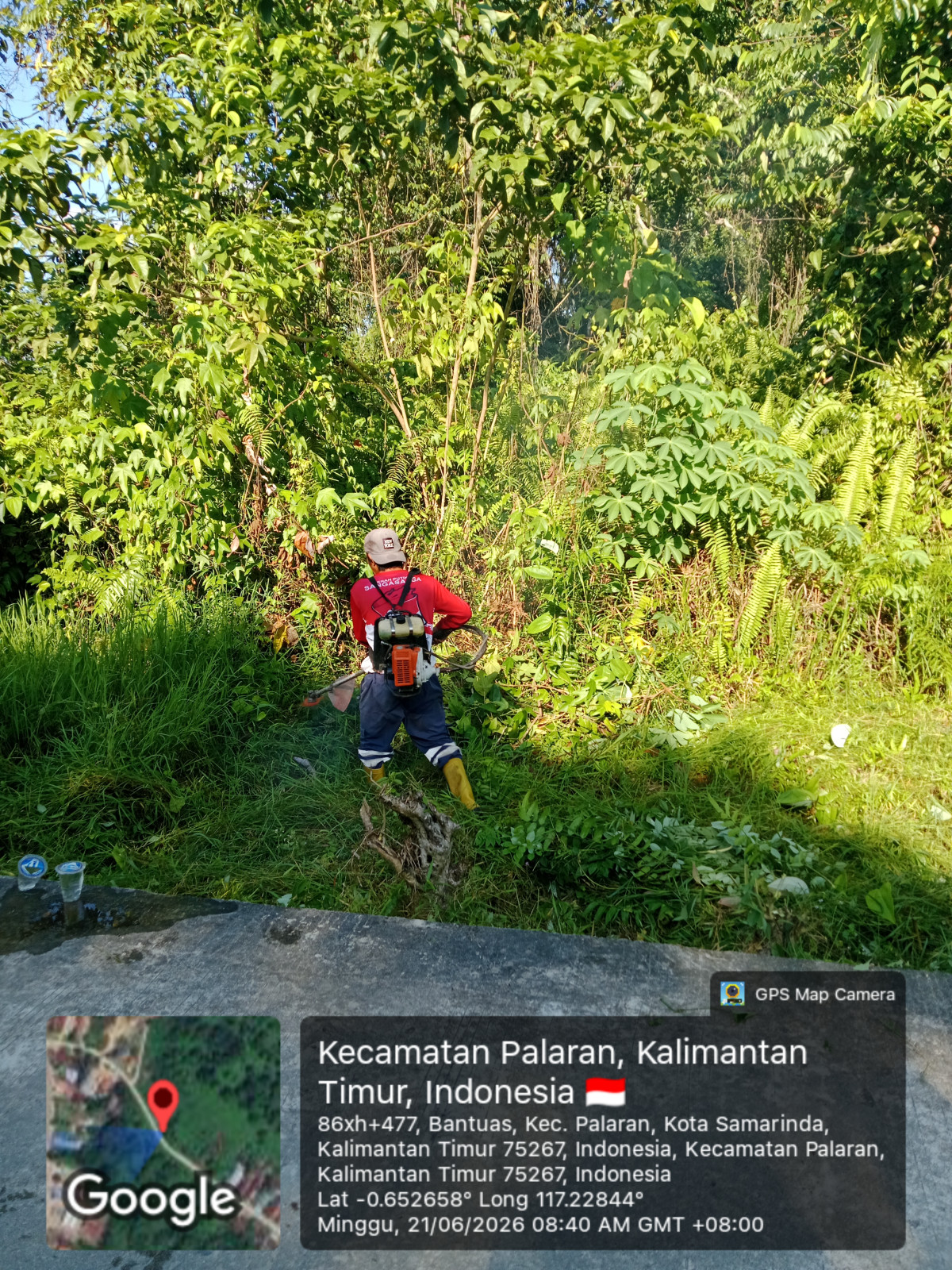 Potong rumput dan semak belukar