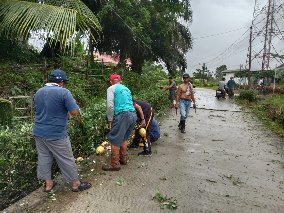 Gotong royong bersihkan pinggir jalan dan paret