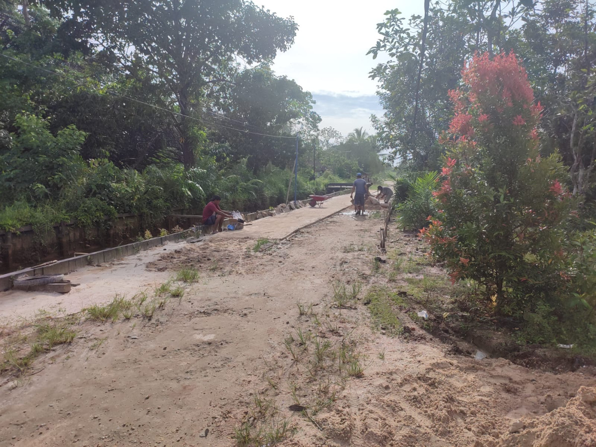 Semenisasi jalan perancis