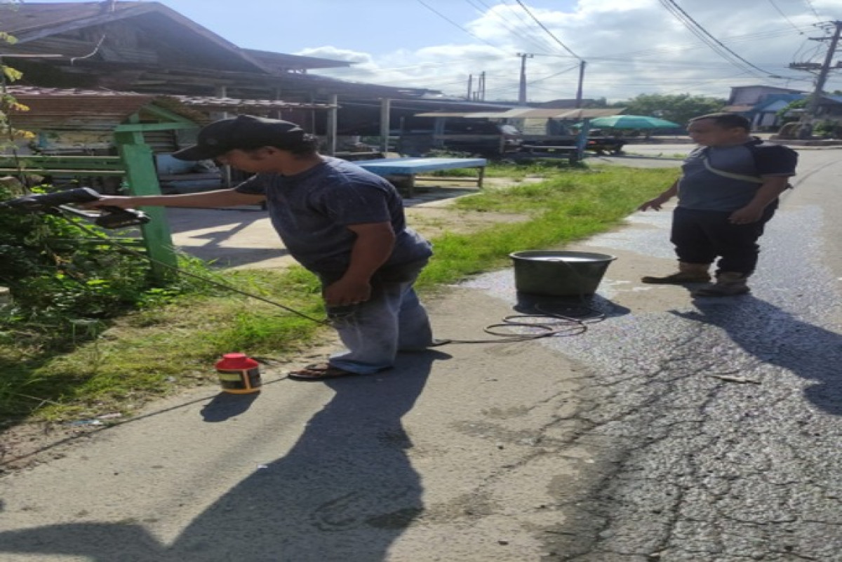 Penyemprotan rumput pinggir jalan