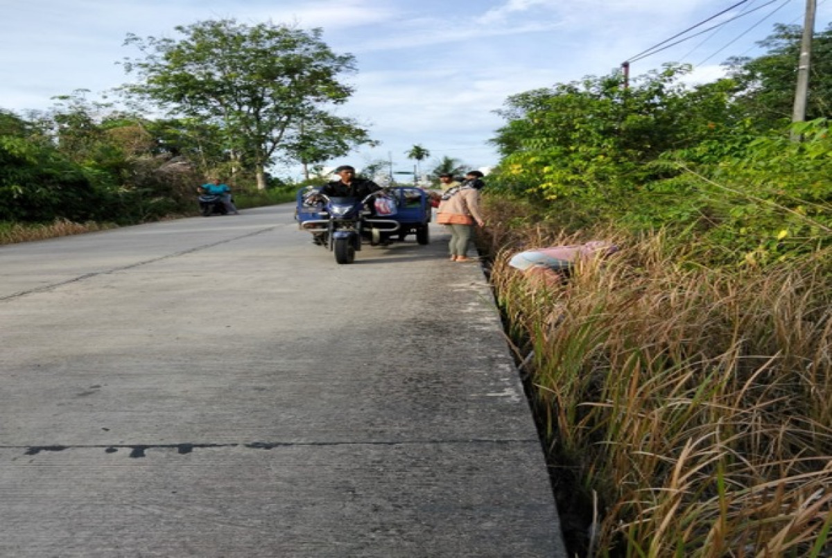 Pembersihan rumput pinggir jalan dan parit jalan Al Hasnie