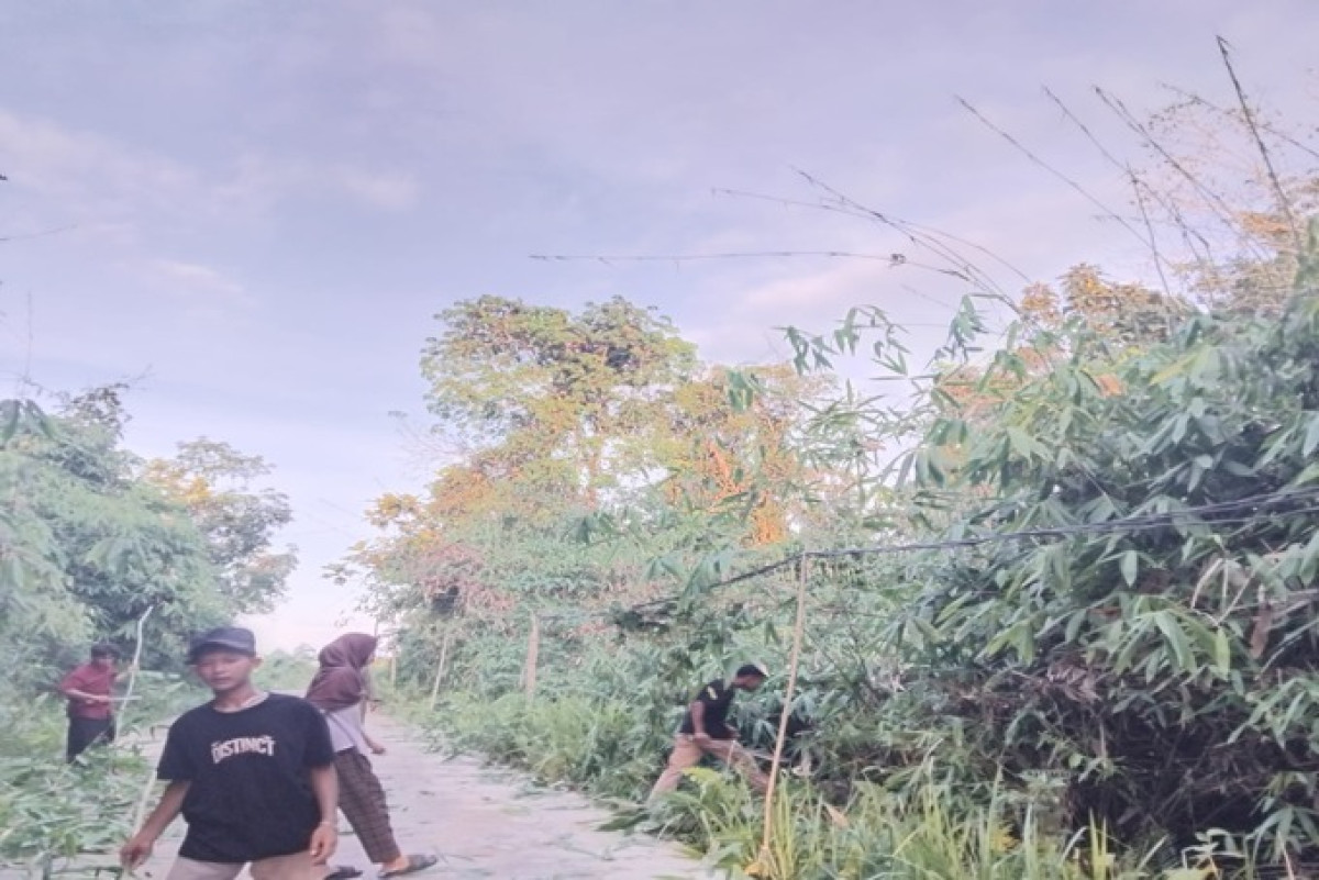 Pembersihan rumput pinggir jalan pesantren