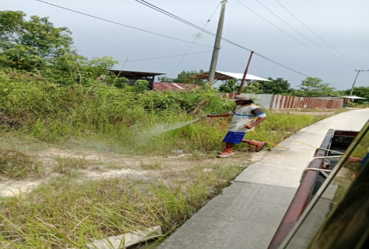 Penyemprotan rumput pinggir jalan