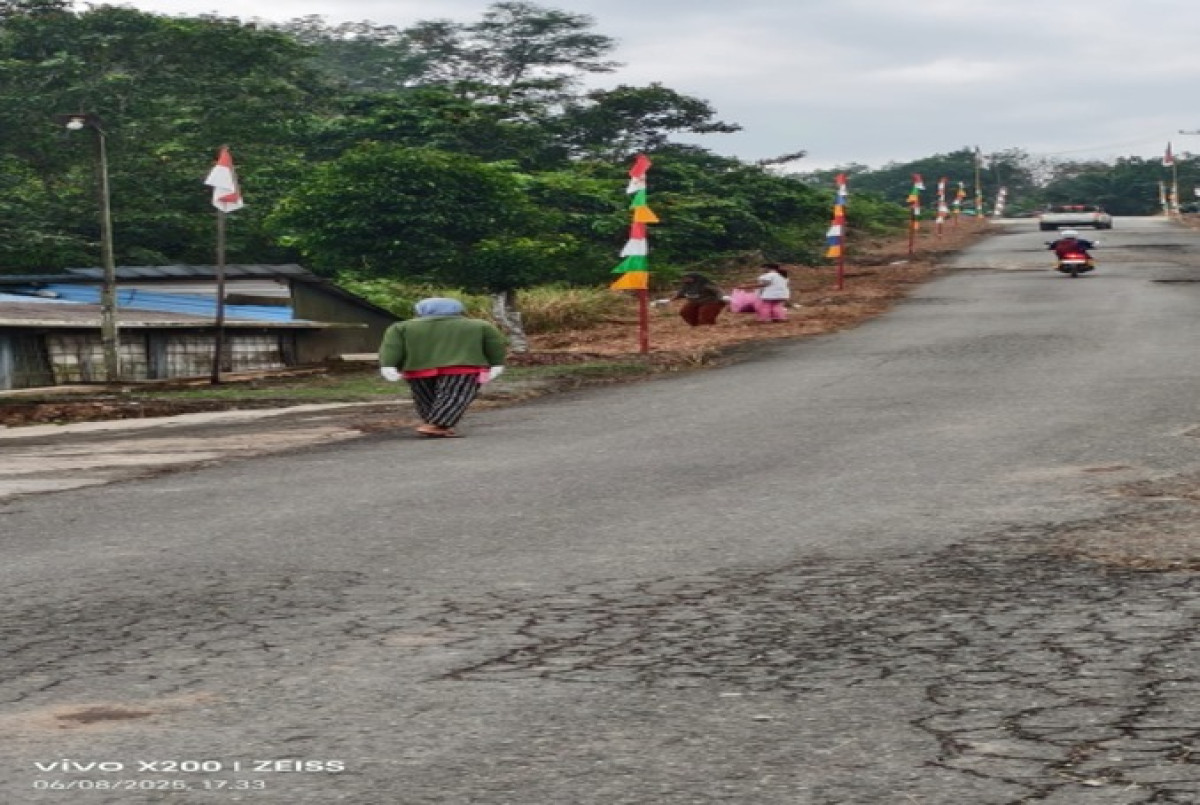 Potong rumput pinggir jalan