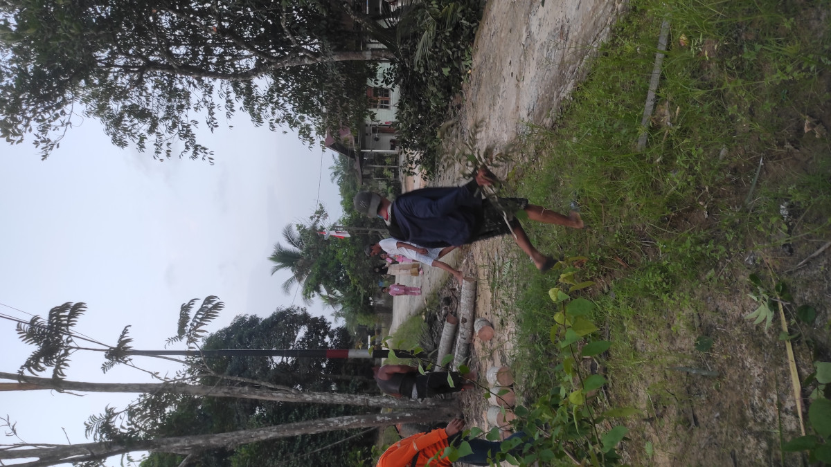 Penebangan & pemangkasan pohon2 besar di pinggir jalan