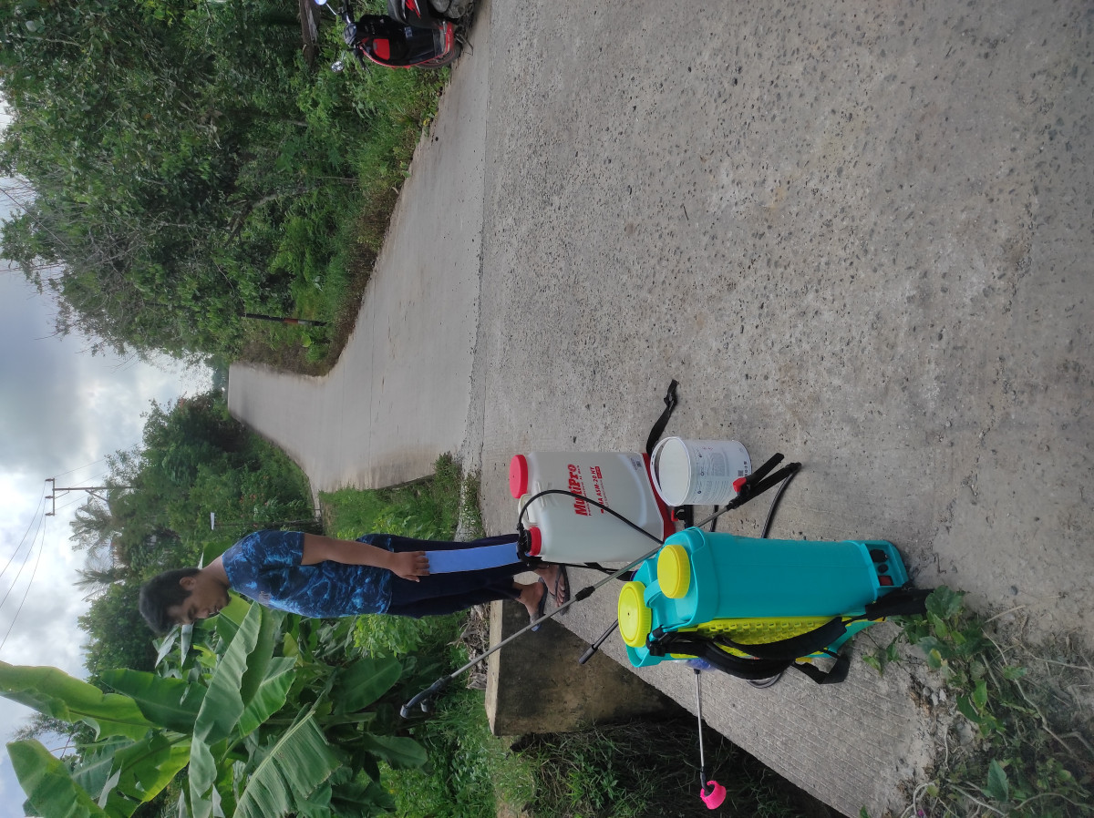 Penyemprotan rumput di sepanjang jalan poros RT 11