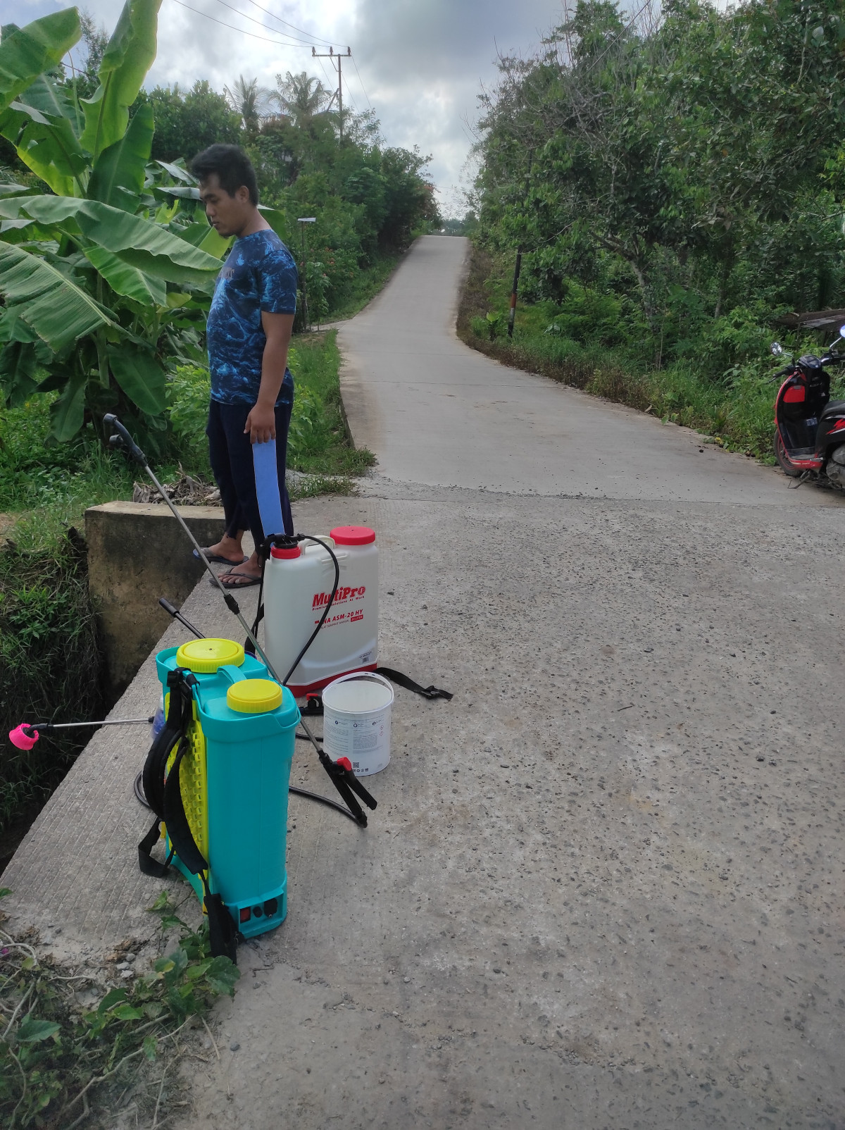 Penyemprotan rumput