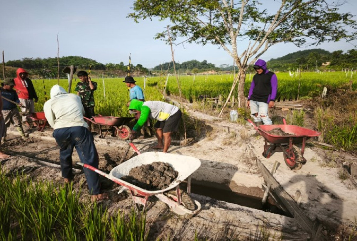 Perbaikan drainase ke sawah