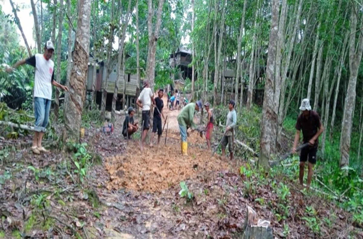Perbaikan jalan menuju area pertanian
