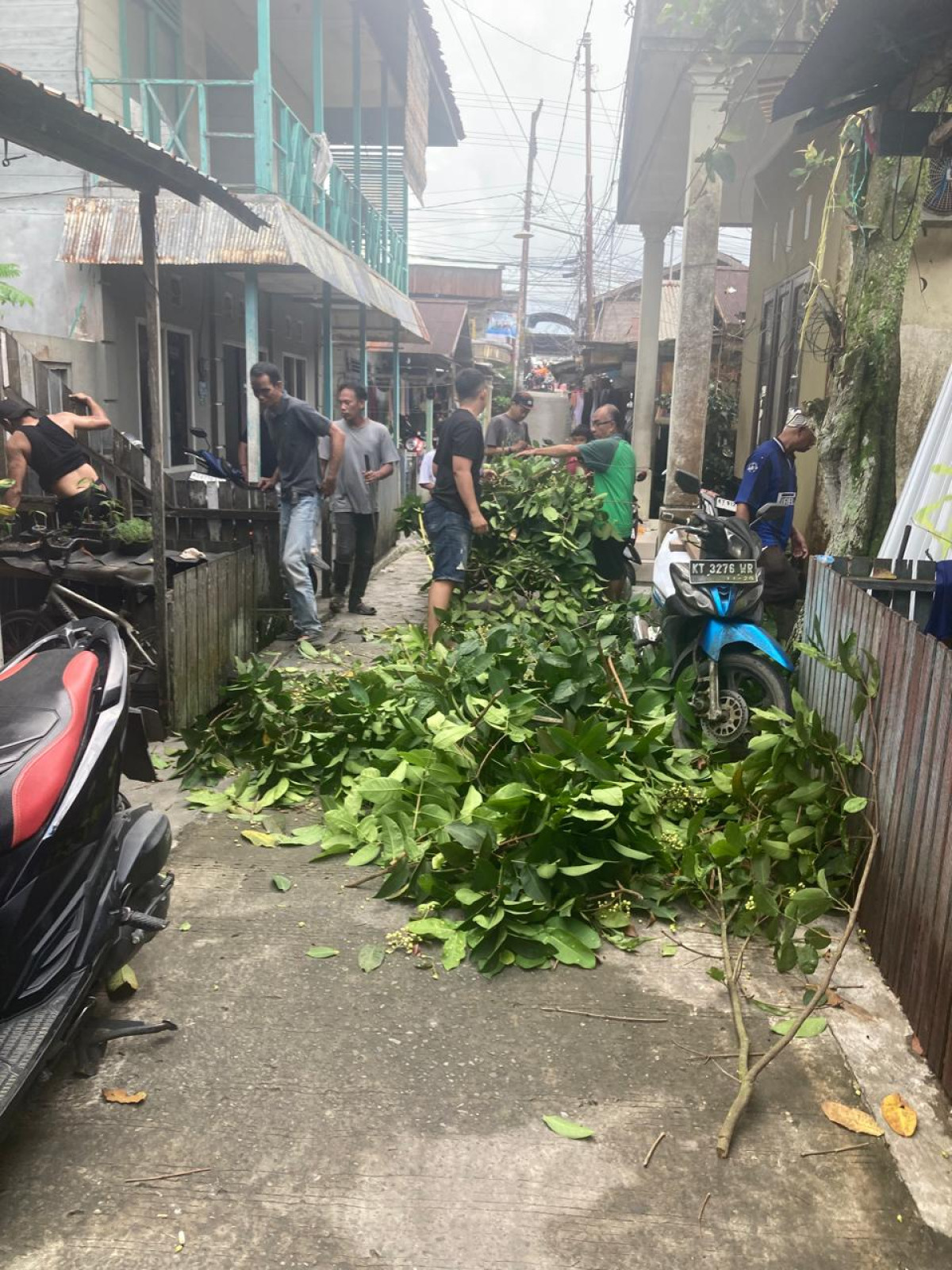 Gotong royong penebangan pohon