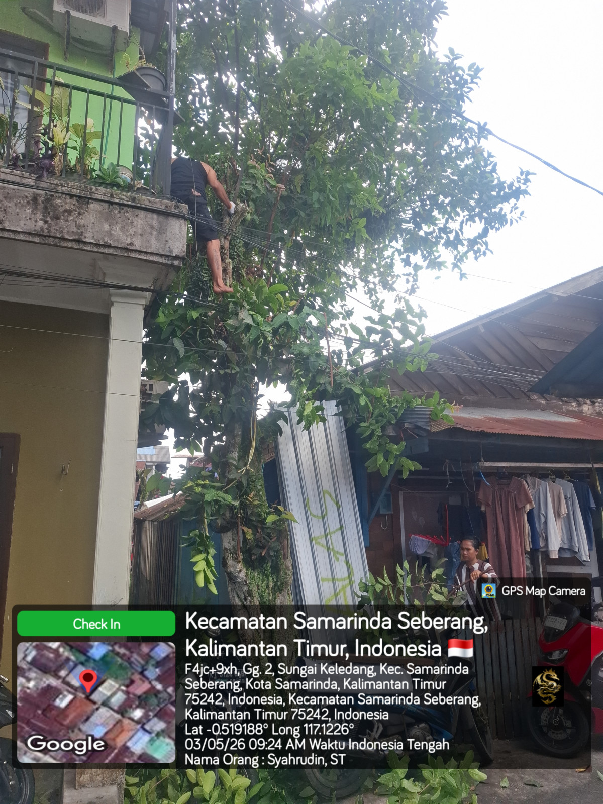 Memotong dan membersihkan ranting pohon