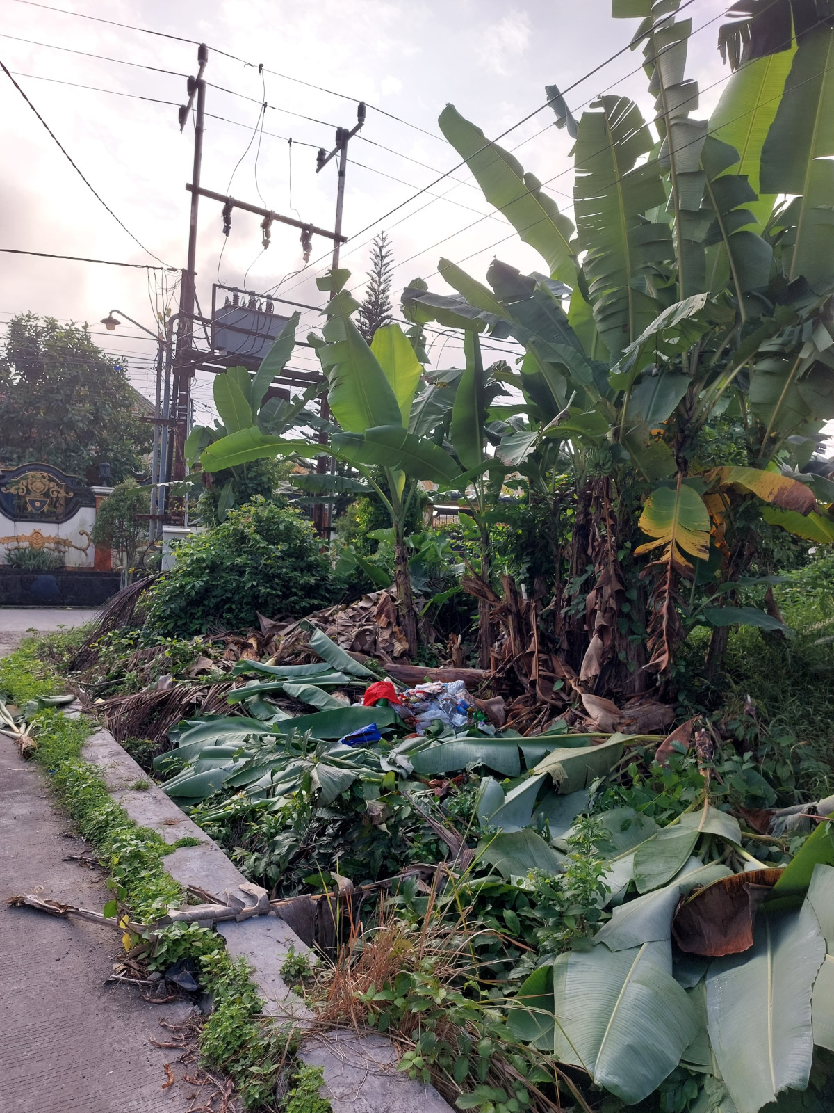 Gotong royong