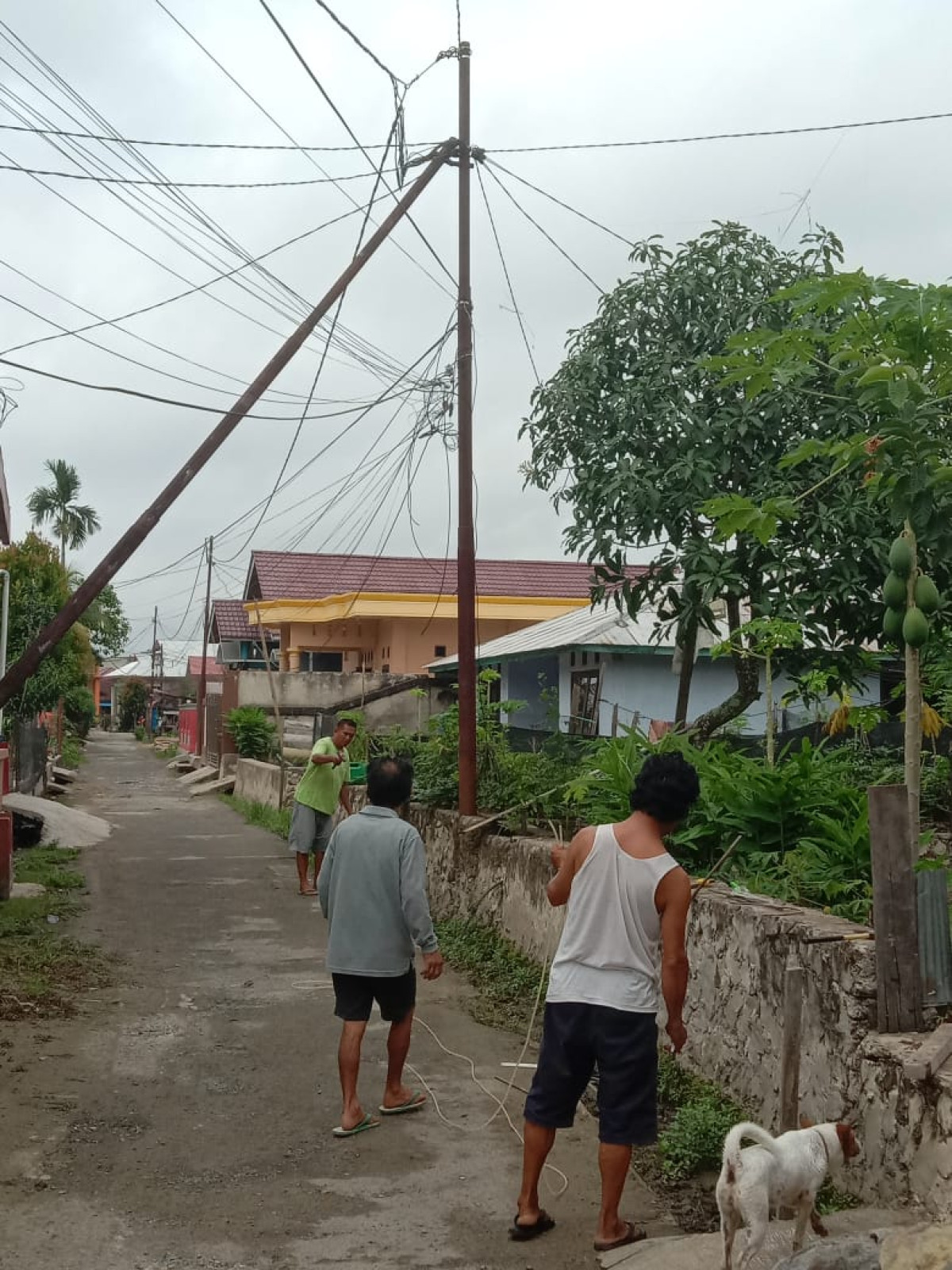 Gotong royong membersihkan parit jl sumber barur baru
