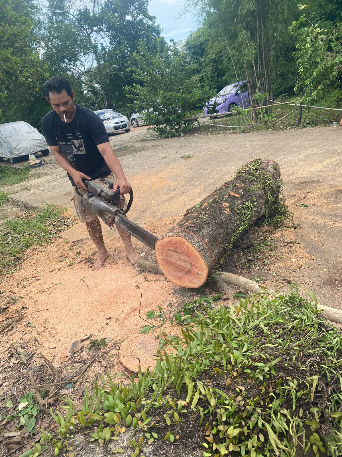Gotong royong