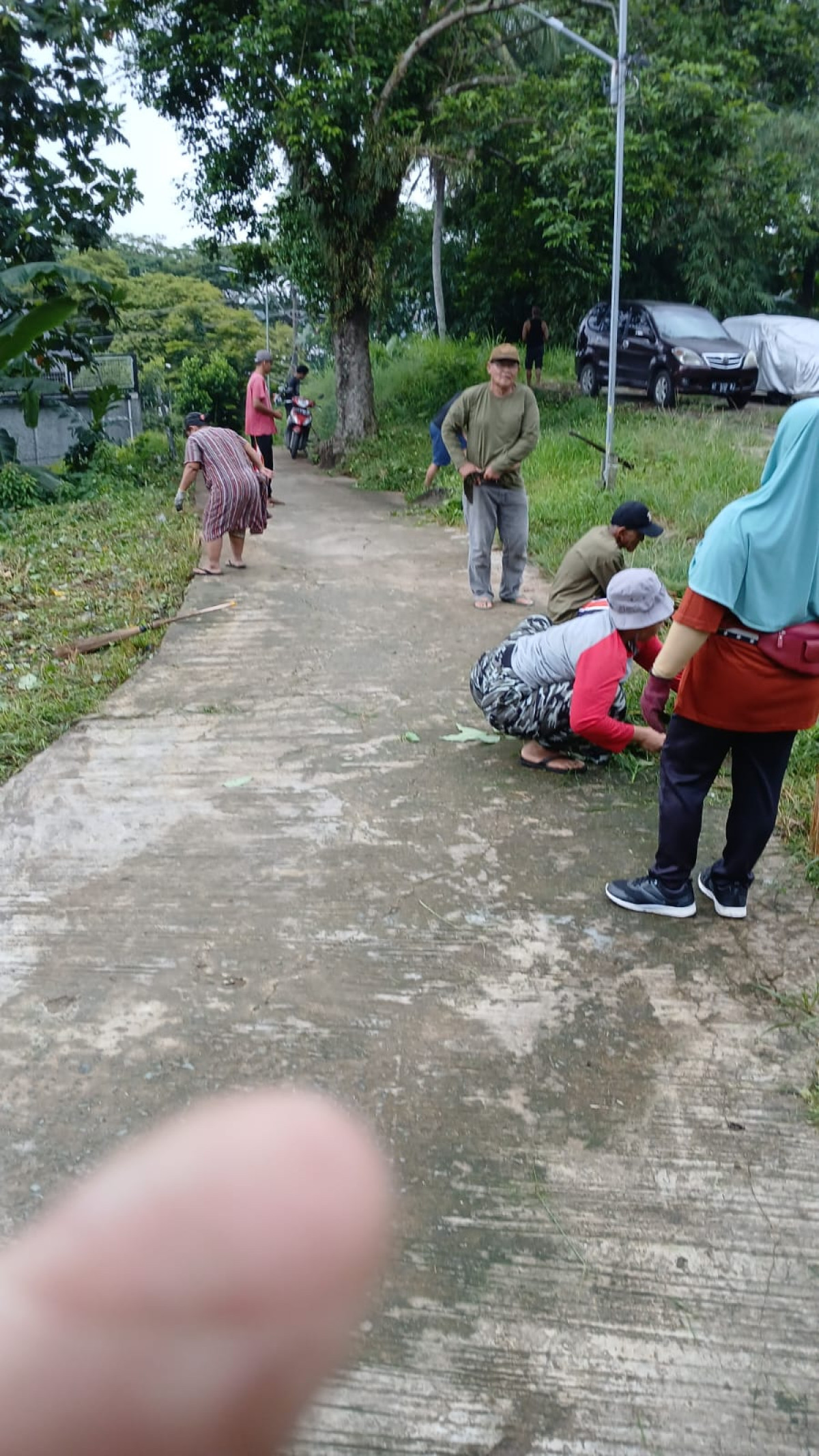 Pembersihan rumput sekitar