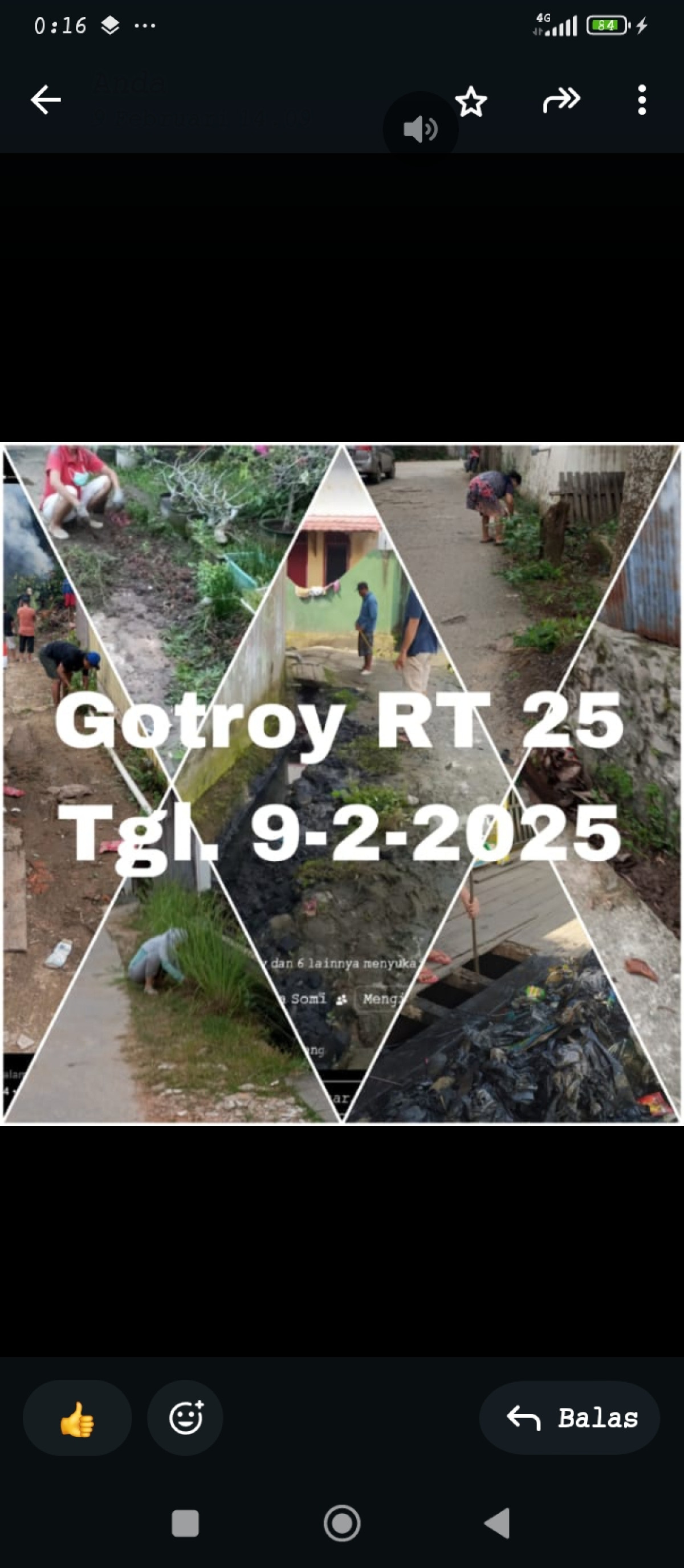 Gotroy gang 4 C