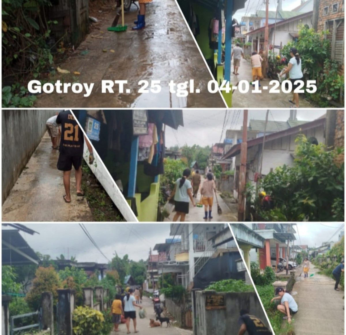 Gotroy d gang 4C