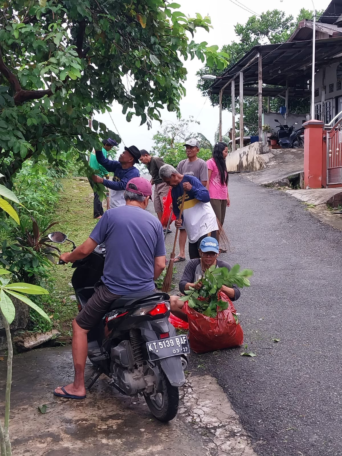 Potong Rumput
