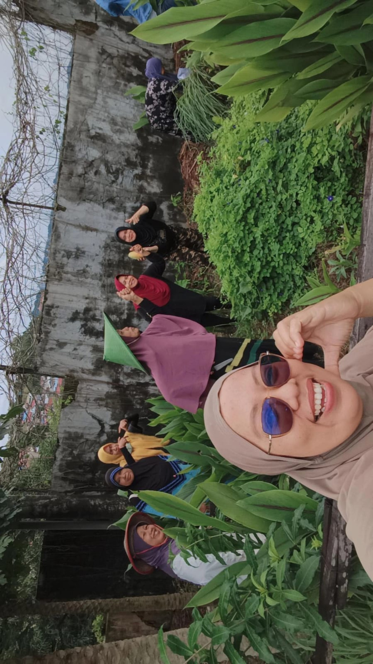 Gotong royong Pembersihan dan pemeliharaan kebun toga Dawis RT 16