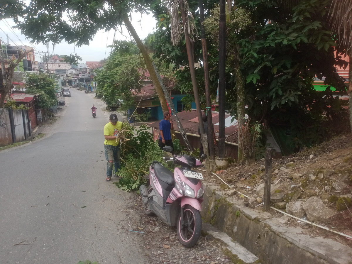 Kerja bakti penebangan pohon menganggu kabel listrik