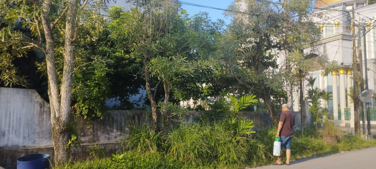 potong rumput