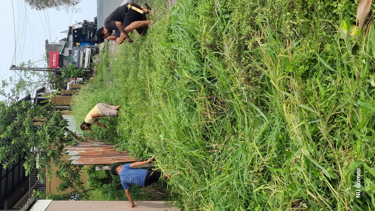 Potong rumput pinggir jalan