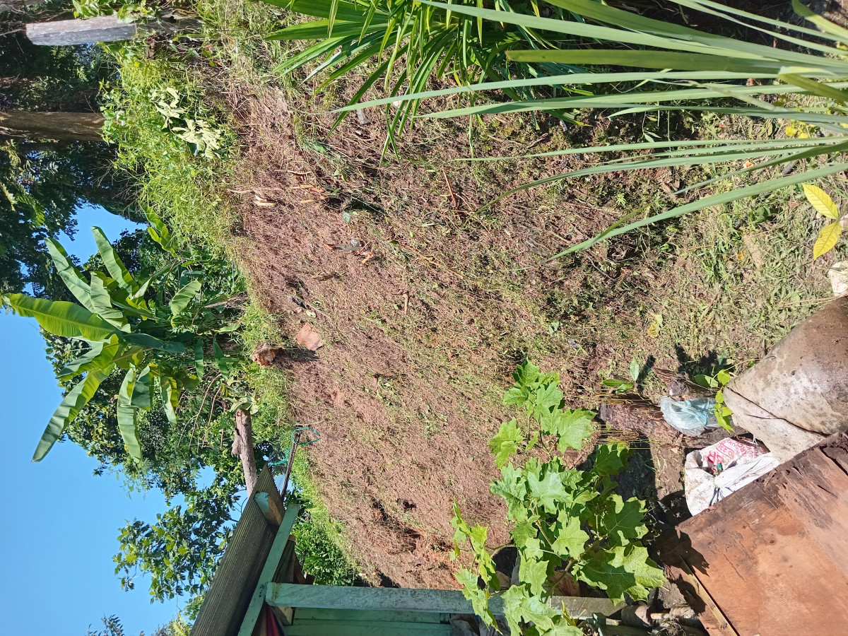 Gotong Royong