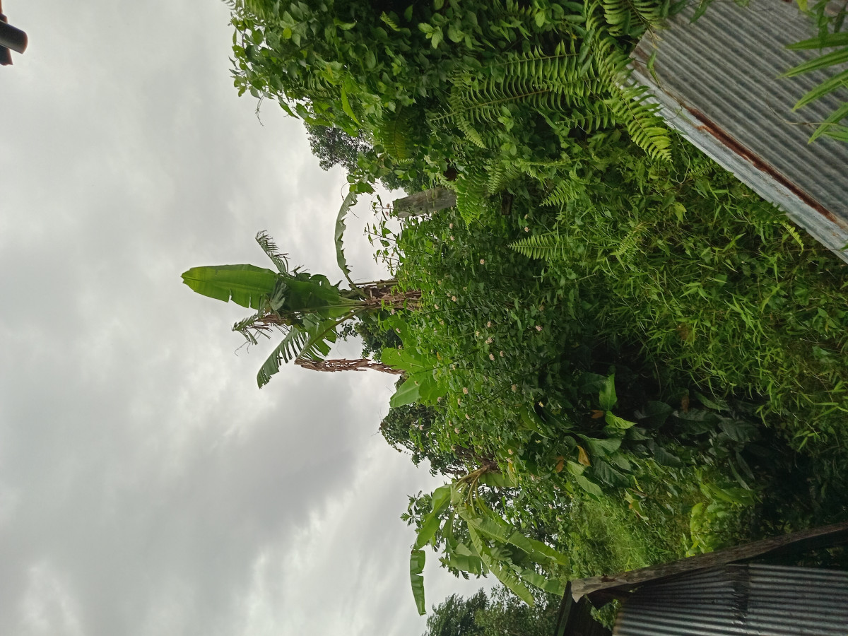 Kerja bakti