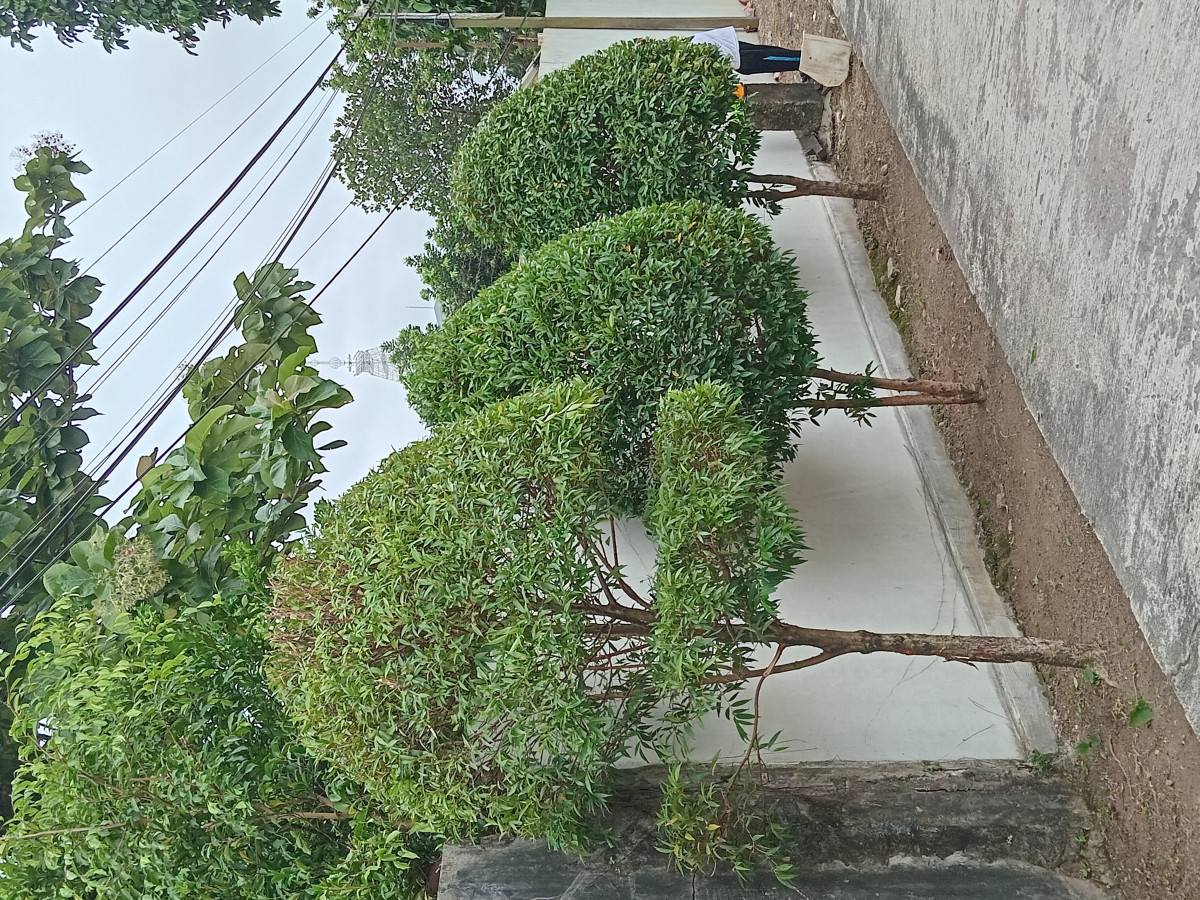 Gotong Royong
