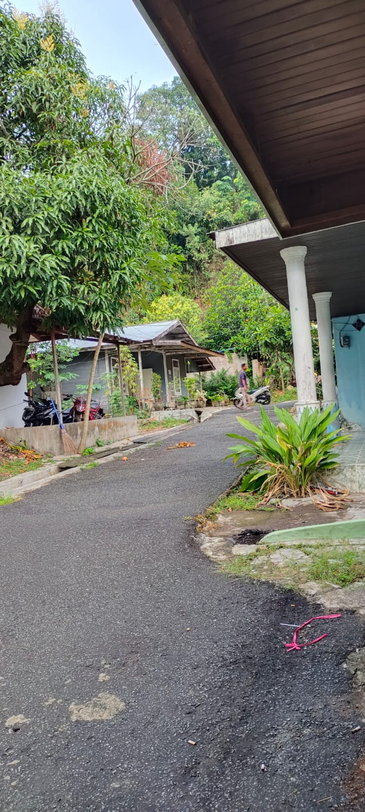 kegiatan potong rumput