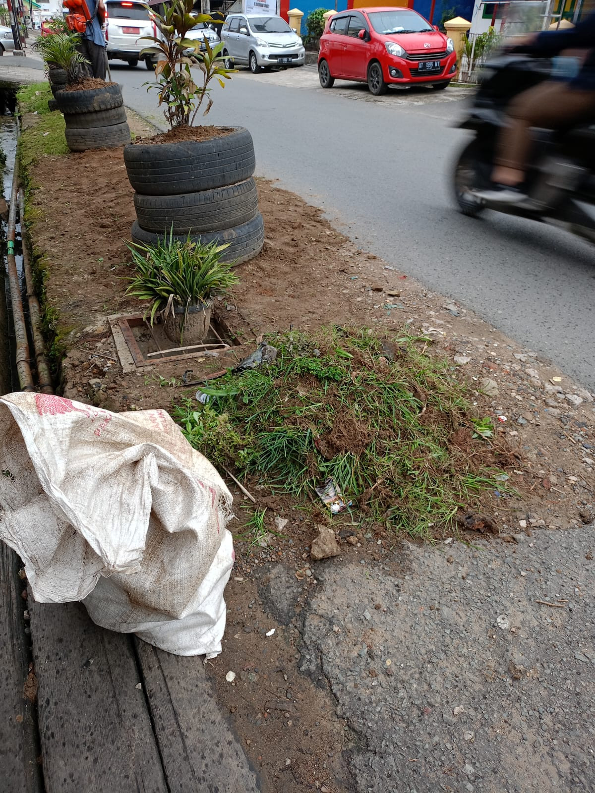 Pemotongan rumput dan penyapuan GG 3