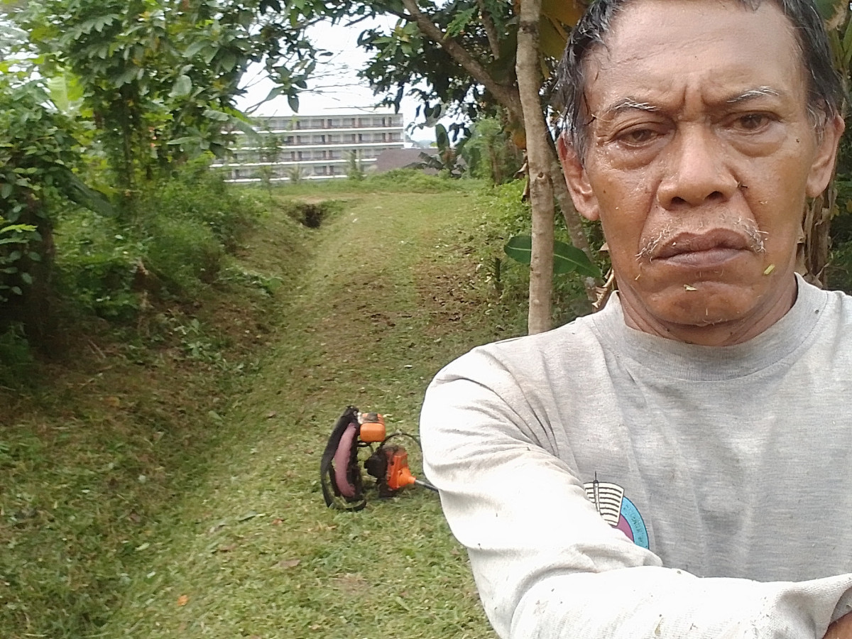 Potong rumput