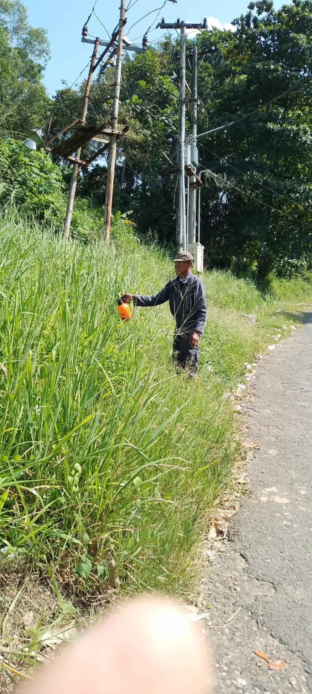 Membersihkan rumput