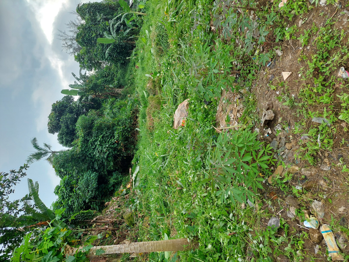 Kerja Bakti