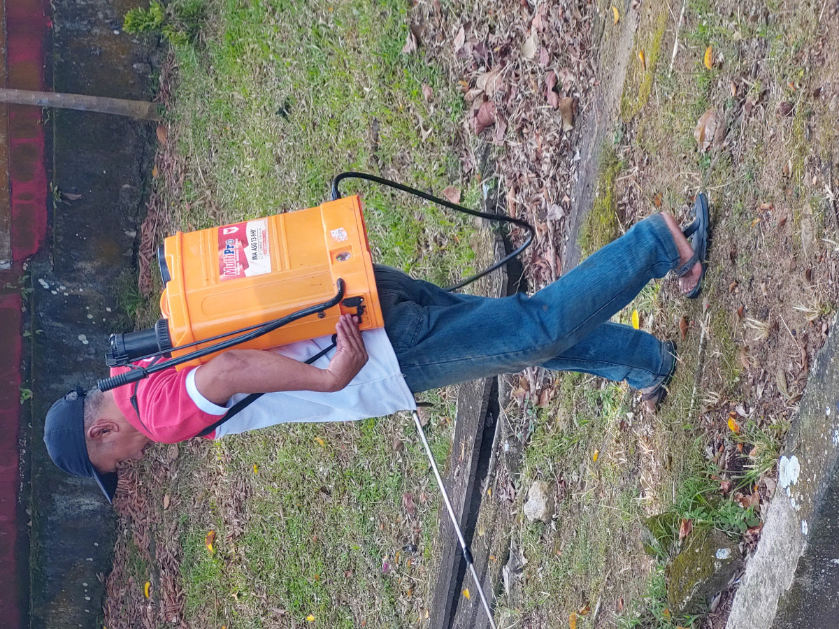 Gotong royong