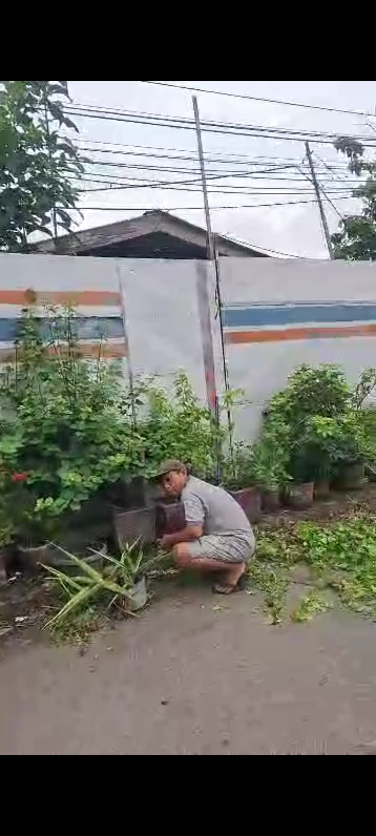 Jl. KS. Tubun Dalam GG 12 & Cinta Damai
