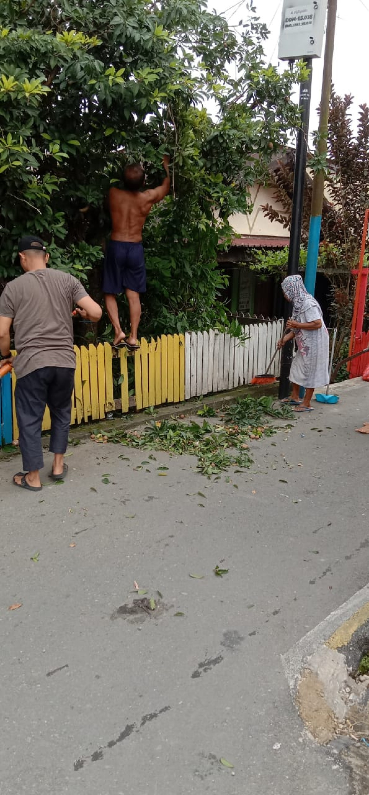 Potong dahan ranting pohon dan menyapu jalanan