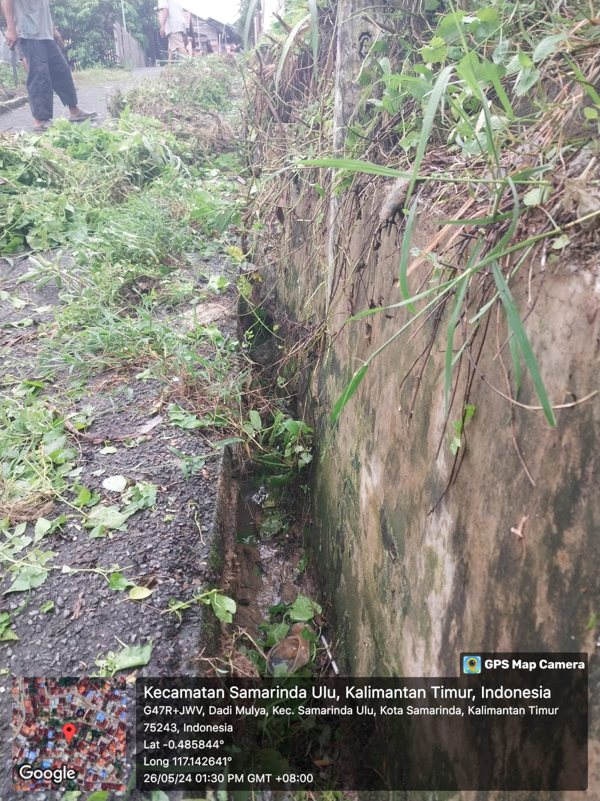 Memotong rumput dan memangkas dahan pohon