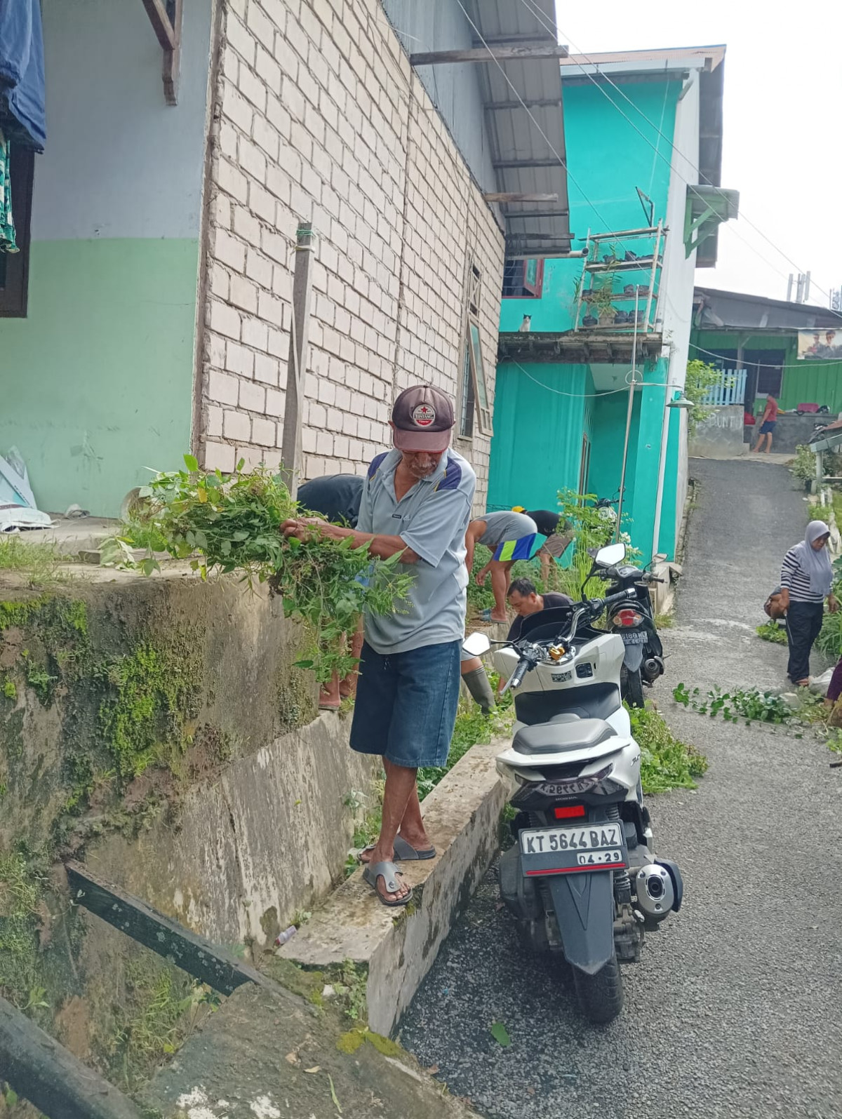 Potong rumput